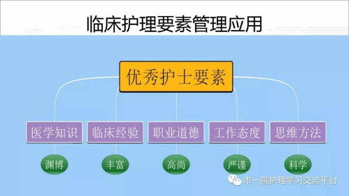 思維導圖在臨床管理中的應用 賦能精準醫(yī)療與高效協作